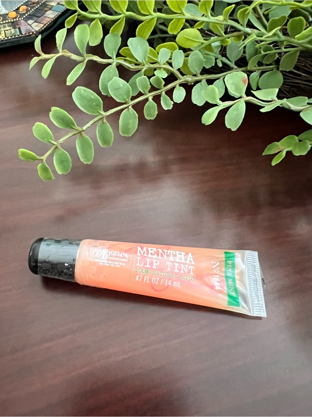 Bath & Body Works Mentha Lip Tint — Coral Peach Gloss